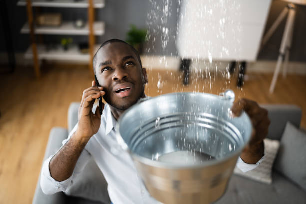 Best Storm and Flood Water Damage Restoration in Osage, IA